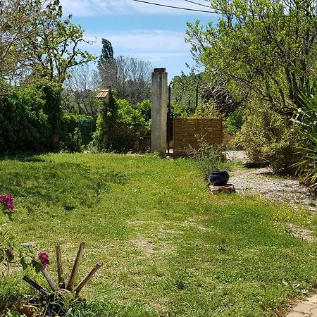 Petite Maison Refaite A Neuf Dans Mas Du 19Eme Siecle Arles Eksteriør billede