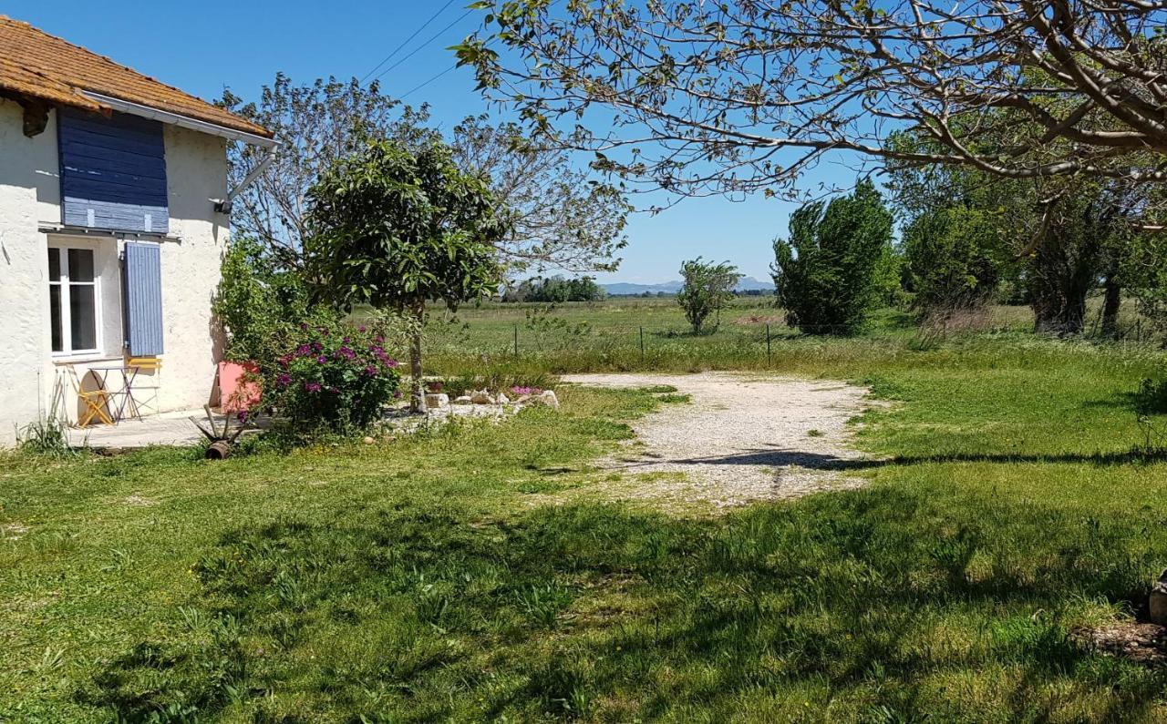 Petite Maison Refaite A Neuf Dans Mas Du 19Eme Siecle Arles Eksteriør billede