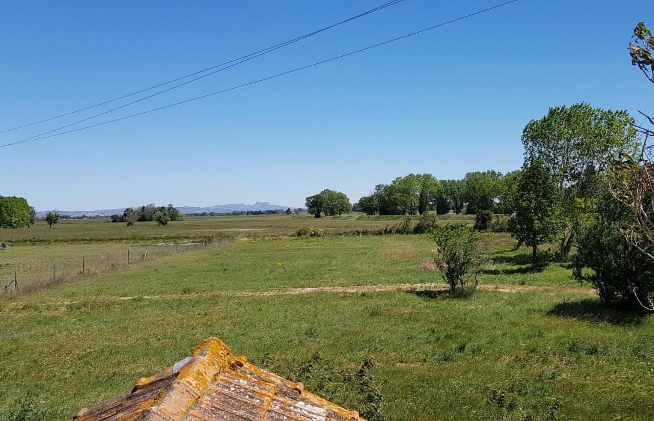 Petite Maison Refaite A Neuf Dans Mas Du 19Eme Siecle Arles Eksteriør billede