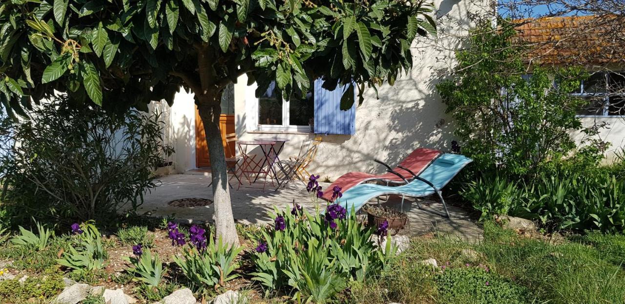Petite Maison Refaite A Neuf Dans Mas Du 19Eme Siecle Arles Eksteriør billede