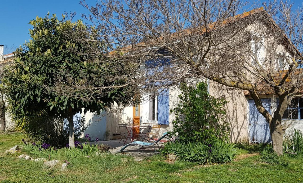 Petite Maison Refaite A Neuf Dans Mas Du 19Eme Siecle Arles Eksteriør billede
