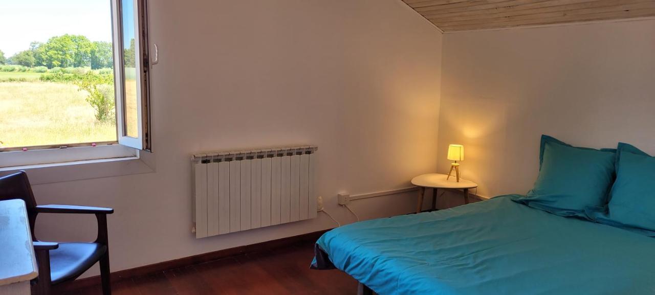 Petite Maison Refaite A Neuf Dans Mas Du 19Eme Siecle Arles Eksteriør billede